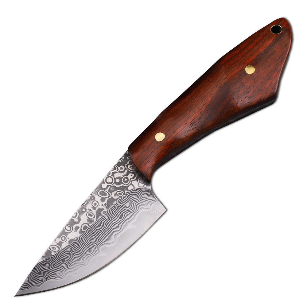 Hunting Camp Outdoor Kitchen - VG10 Damascus Steel Hunting Knife Survival