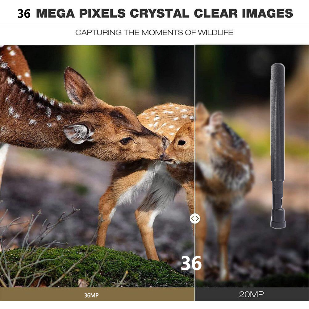 HC-801Pro Outdoor Hunting Came - Outdoor Hunting Pictures ulasan dan harga