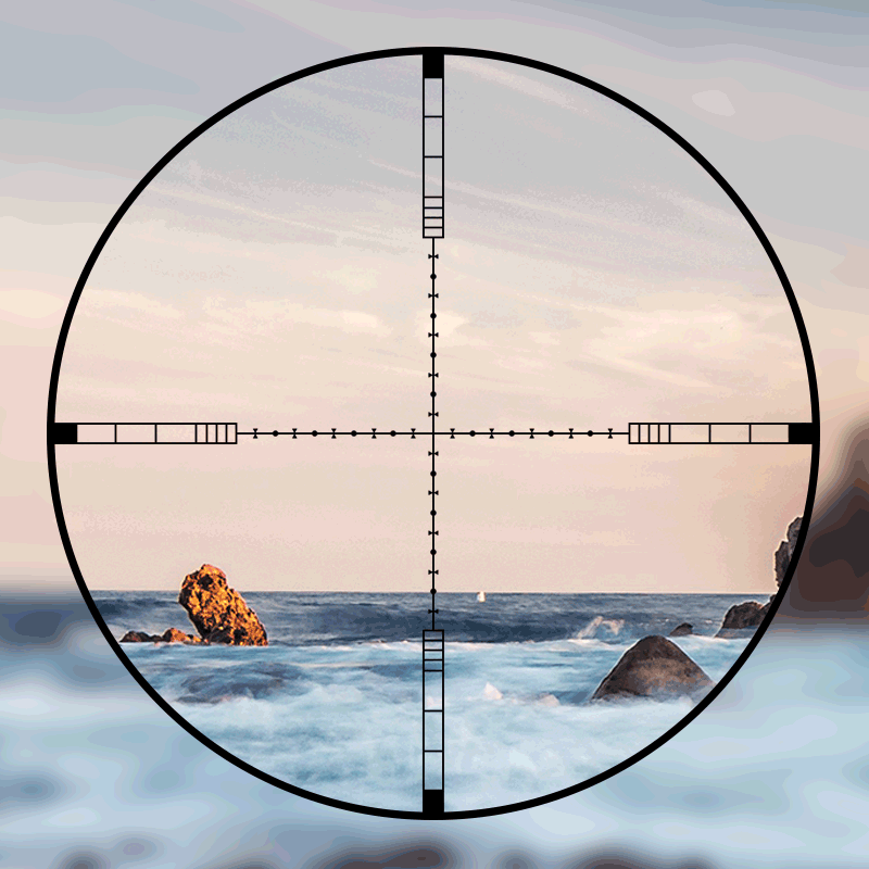 DIANA 4-16x44 Tactical Riflesc - Outdoor Hunting Lab ulasan dan harga